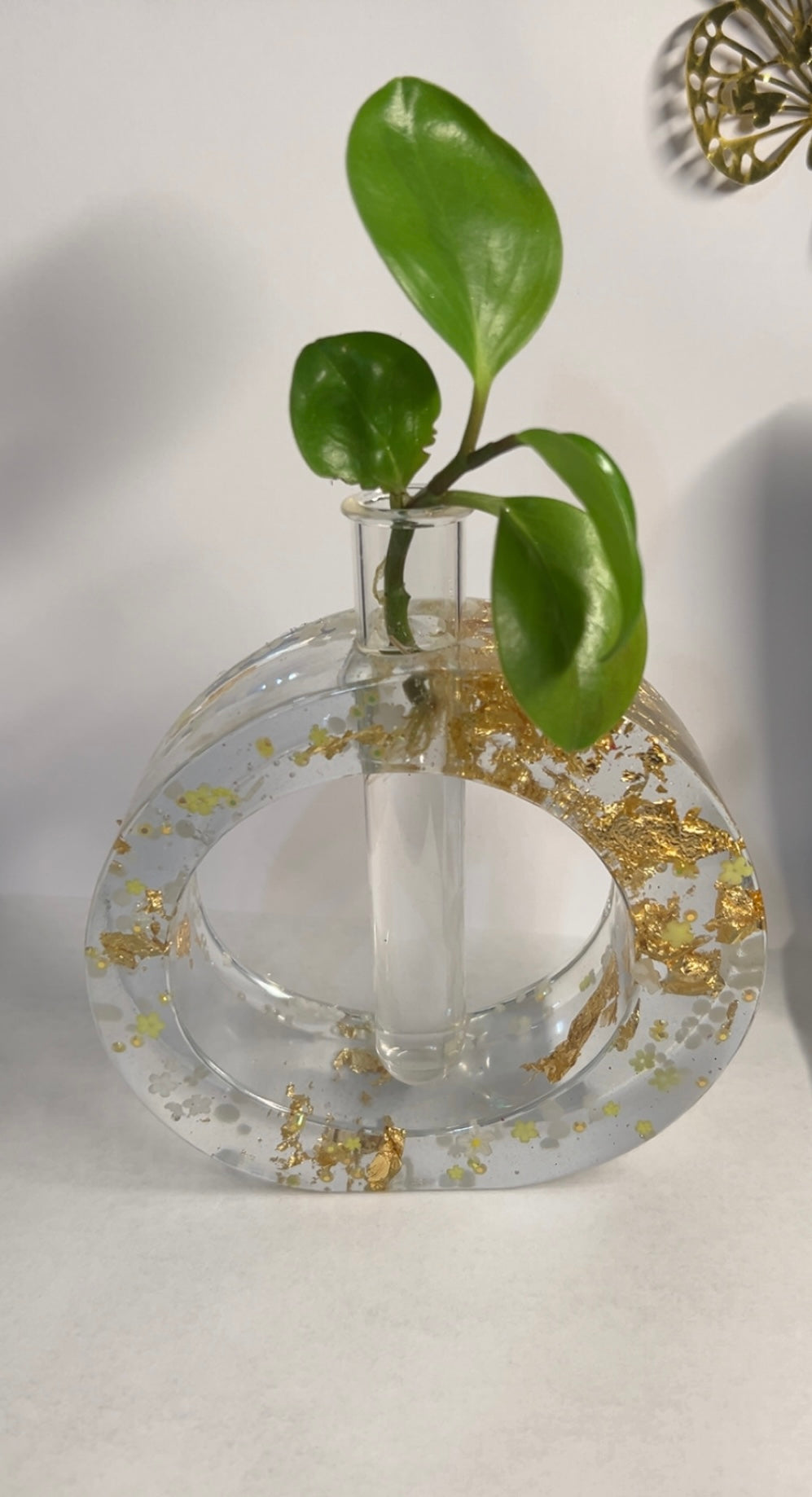 Round golden propagation station